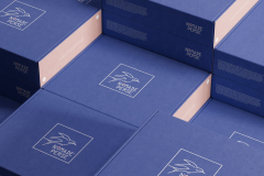 Stacked Boxes Mockup #2 by Anthony Boyd Graphics